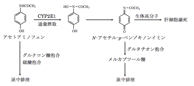 解説画像